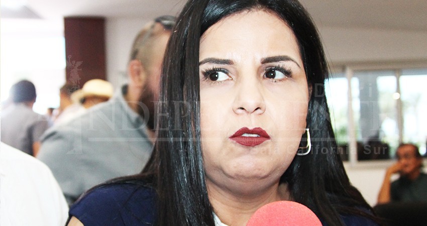 Error de dedo en las cifras para el informe de gobierno: Armida Castro