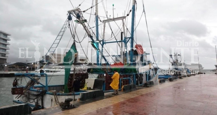 Sorprende oleaje a buque pesquero frente a costas de Los Cabos