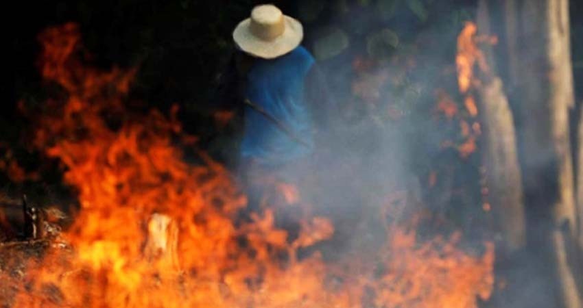 Brasil impone multas millonarias por deforestación del Amazonas