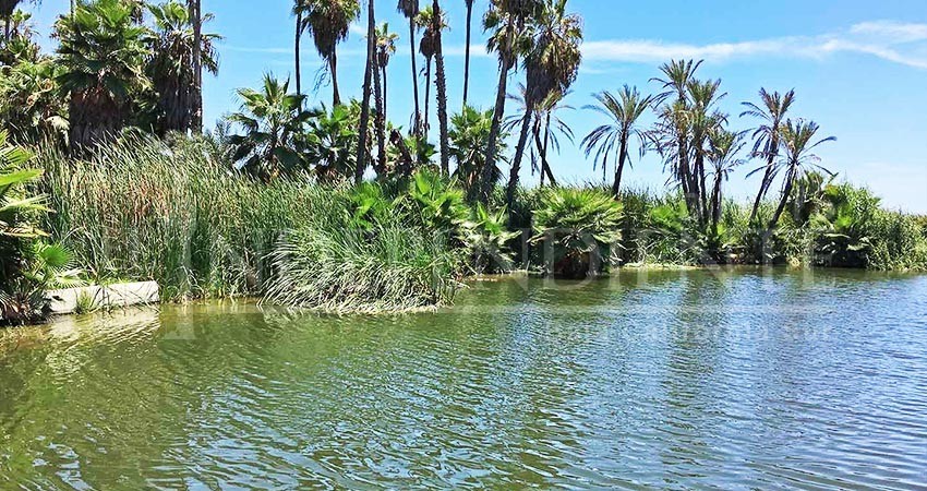 Regidora reclama atención para el Estero de San José