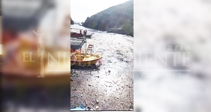 Parte del aceite que contamina la bahía de CSL, proviene de restaurantes: empresario