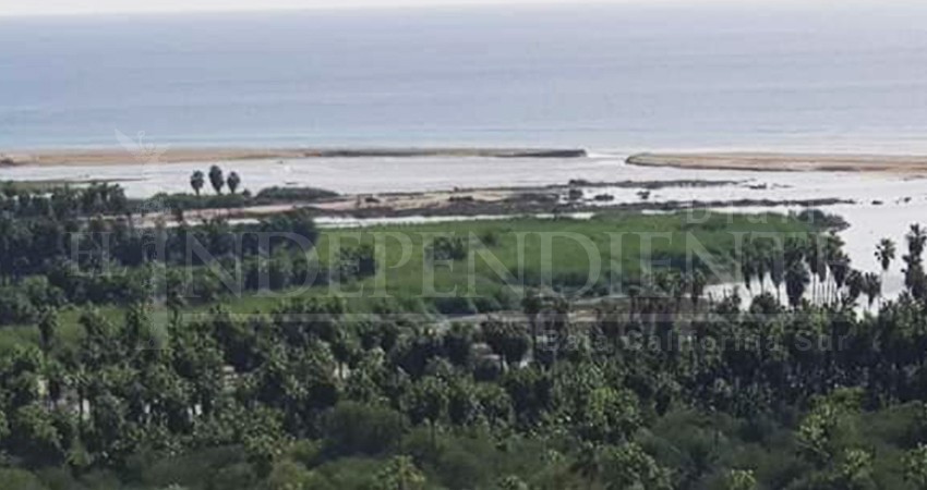 Denuncian a funcionarios por incompetencia al proteger el Estero de San José