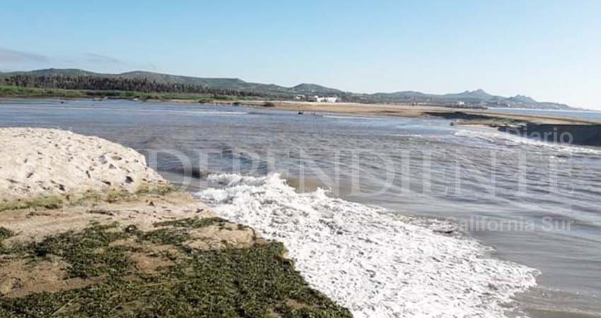 La bocana del estero se abrió sola; es un proceso natural, aclara Dirección de Ecología
