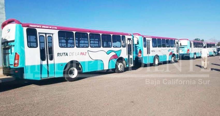 La Ley de Movilidad otorgará concesiones de transporte a todo el que las solicite: Diputada