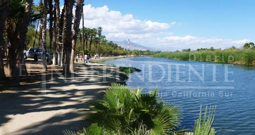 Desde el Cabildo de Los Cabos, solicitan al Congreso emprender acciones para conservar el Estero de San José
