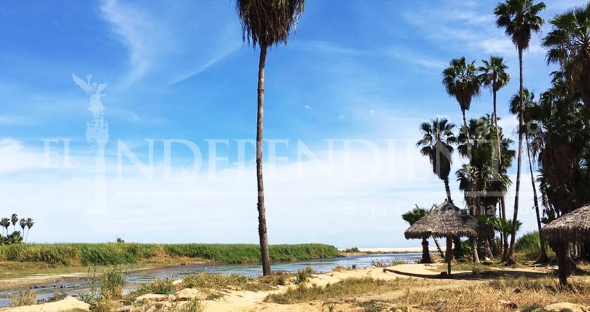 Regidora exige acciones inmediatas para rescatar al Estero de SJC