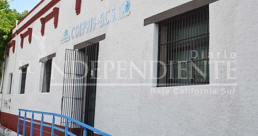 En BCS no usamos insecticidas caducados para combatir el dengue: Coepris