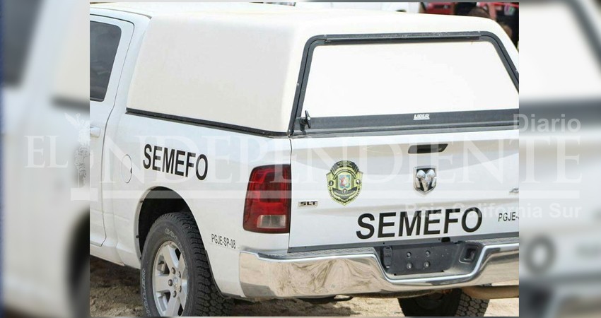 Fue encontrada sin vida en su domicilio de CSL con huellas de violencia