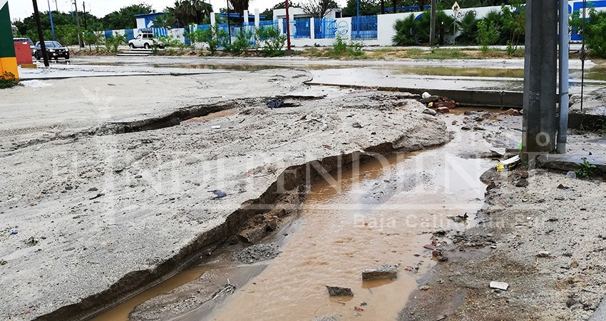 Lluvias podrían generar nuevos casos de dengue en Los Cabos
