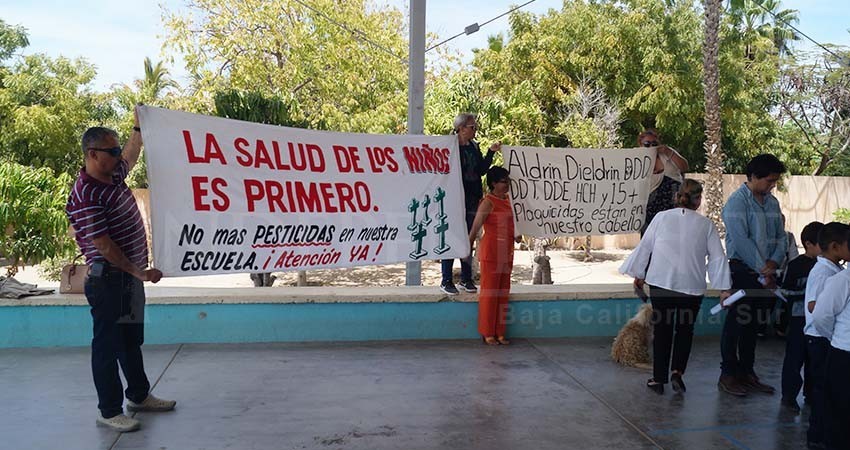 Atenderán caso de "plaguicidas" en la sangre de niños en Todos Santos