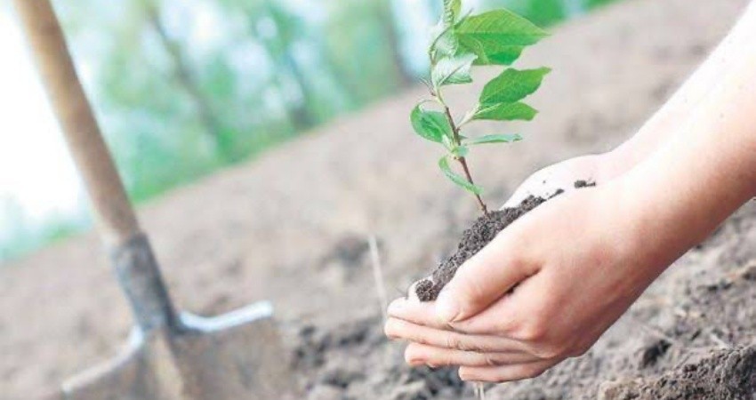 Jóvenes del servicio militar apoyarán con el plantado de arboles en La Paz