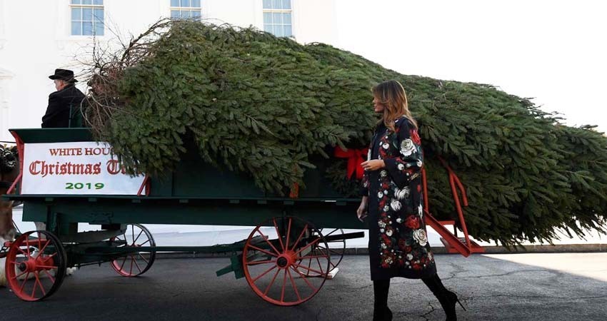 Llega la Navidad a la Casa Blanca; Melania recibe el árbol