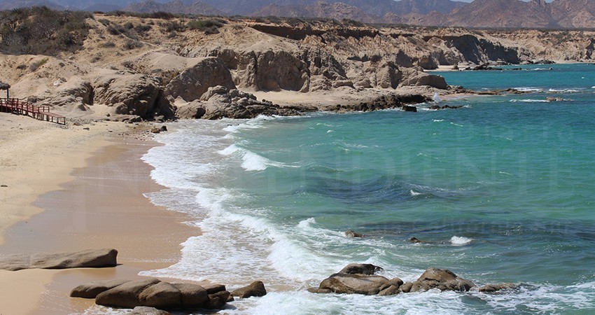 Se requieren acciones conjuntas para combatir pesca furtiva en Cabo del Este: Escobedo 