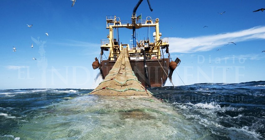 Gobierno del estado  ha evadido reglamentación de pesca por 4 años