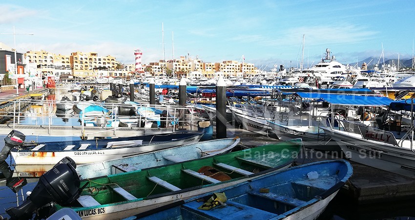 Preocupa acoso de vendedores ambulantes en recinto portuario de CSL 