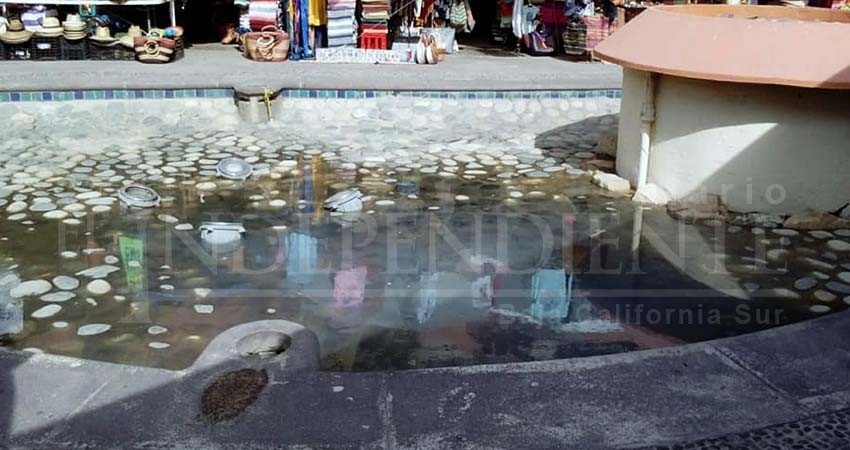 Comerciantes lamentan malas condiciones de la Marina de CSL