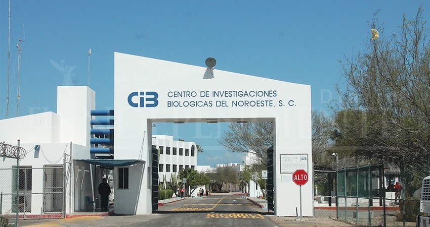 Cibnor desacredita estudio donde se detectó DDT en niños de Todos Santos