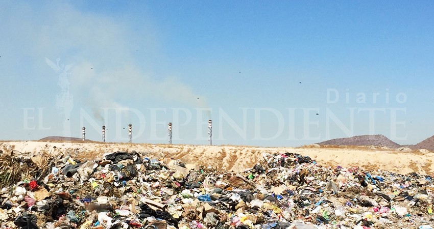 Iniciarán “programa piloto” de separación de basura en 3 colonias de La Paz