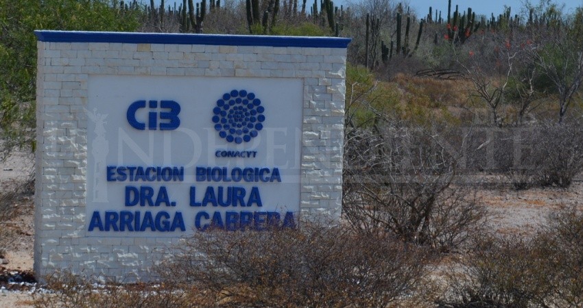 Cibnor aclara: no desacredita estudio que detectó DDT en niños, pero tampoco lo avala