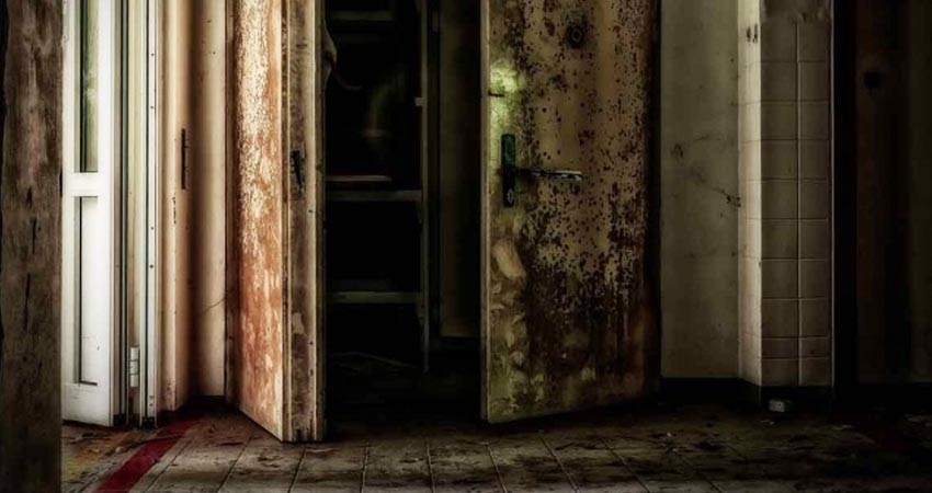 Mujer guardó el cadáver de su esposo en congelador por 10 años