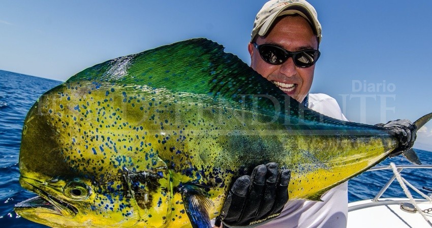 Recolectan firmas para impedir liberación del Dorado