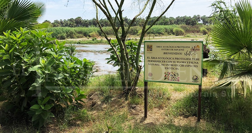 Niega Ayuntamiento de Los Cabos que se hayan autorizado proyectos dentro del Estero