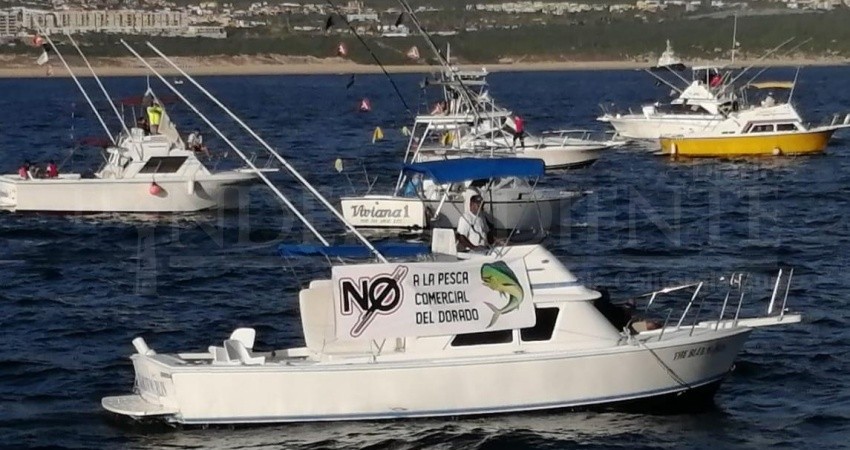 Rotundo NO en Los Cabos, a la comercialización del Dorado