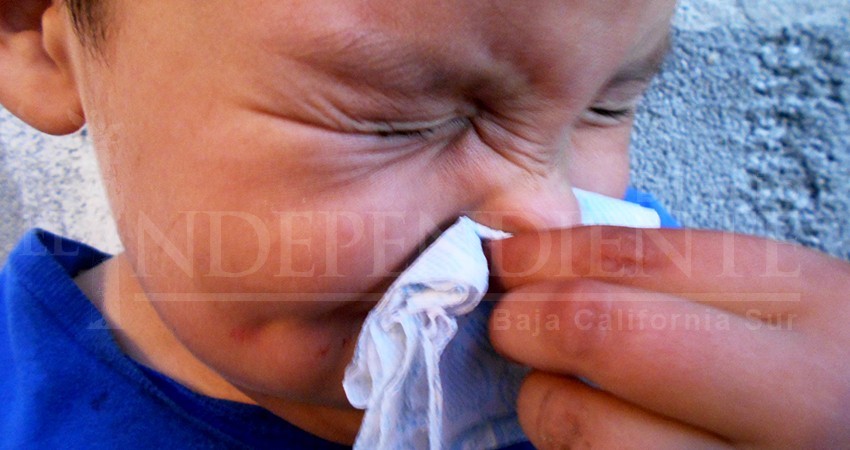 Reporta SSA 650 casos confirmados de influenza en el país, cuatro de ellos en BCS 