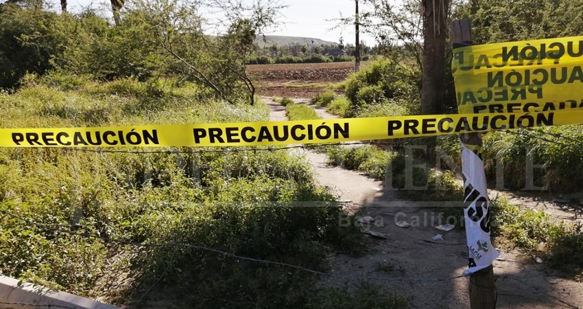 Acusan al ayuntamiento de coludirse y permitir "huerto tóxico” en Todos Santos