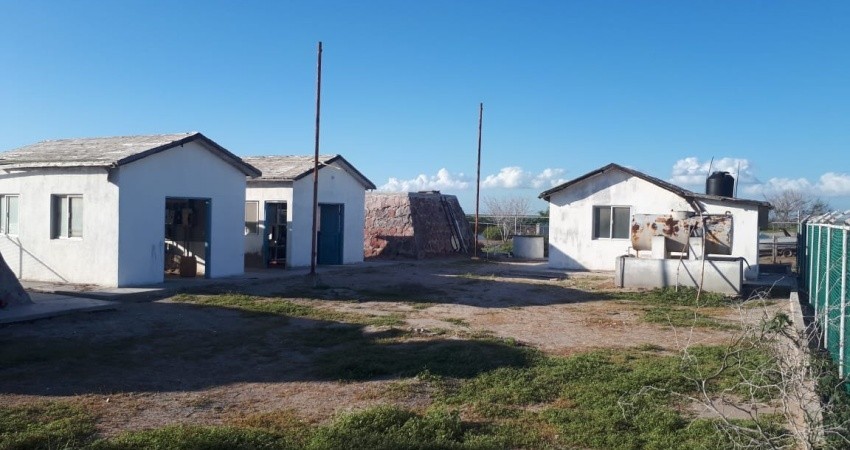 Oomsapas La Paz construirá una planta potabilizadora en Puerto Chale