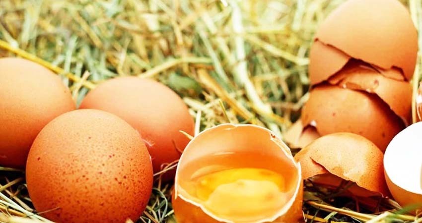 Alerta en EU: Retiran productos avícolas tras brote de listeria