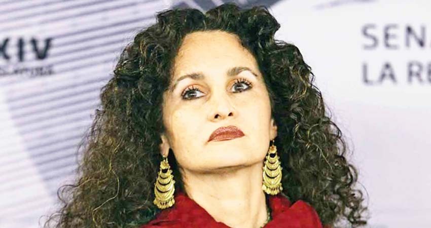 Proponen cambiar la ley de bibliotecas