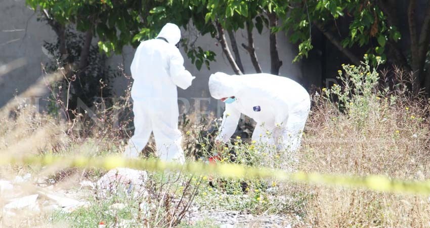 Durante el 2019 fueron localizadas 4 fosas clandestinas en BCS