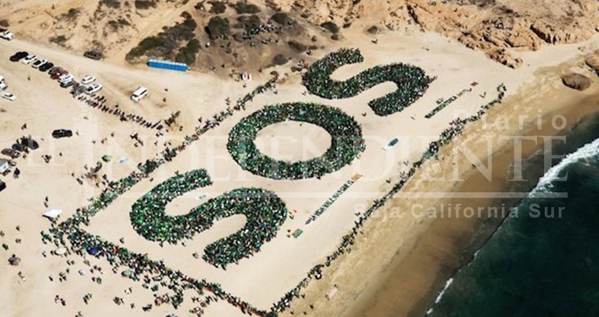 Batalla contra los proyectos que arruinen el medio ambiente no ha terminado: S.O.S