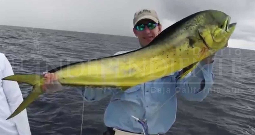 Autoridades y empresarios forman frente contra la liberación del Dorado