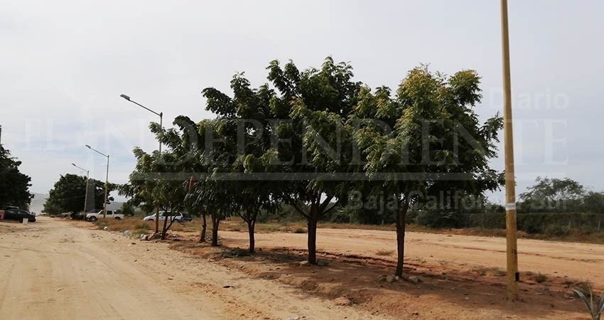Colectan firmas para que se pavimente la colonia Mesa Colorada de CSL