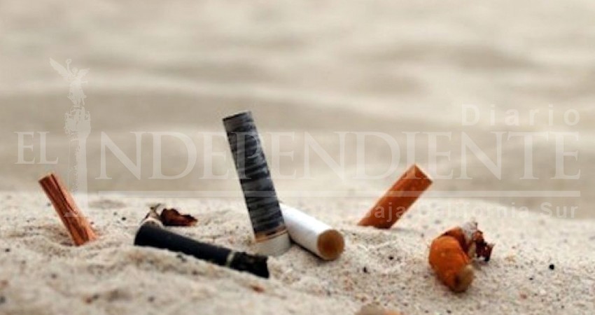 Colillas de cigarros, taparroscas y vidrios, lo que más se recoge en playas de Los Cabos