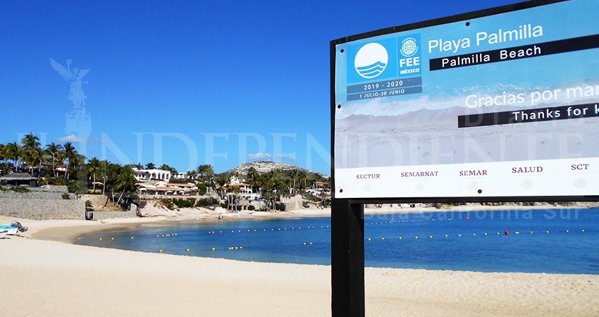 Tras retiro de pluma en playa Palmilla, vigilancia ingreso y seguridad está garantizada: Zamorano 