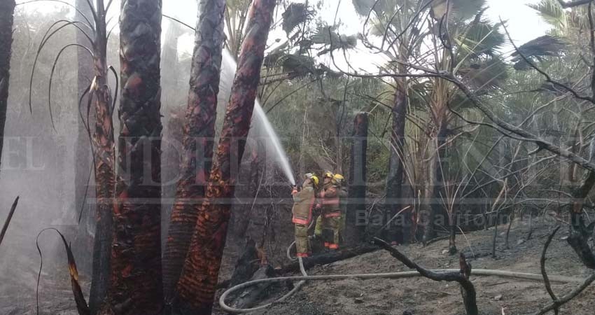 Voraz incendio consume pastizales y palapas en zona turística de CSL