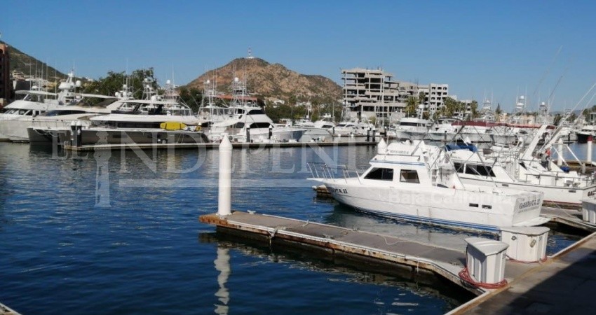 En alerta pesca deportiva de Los Cabos por Foro para promover liberación del Dorado