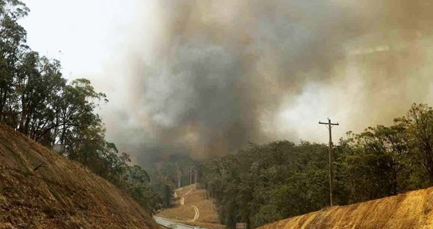 ¡Por fin! Incendios en Australia han sido controlados