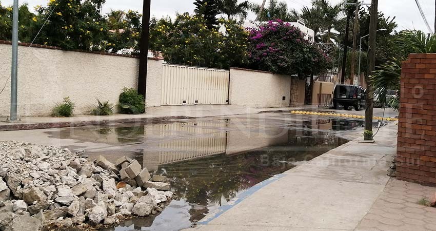 Ecología Municipal no ha hecho un trabajo del que se puedan sentir orgullosos: Empresarios de Los Cabos