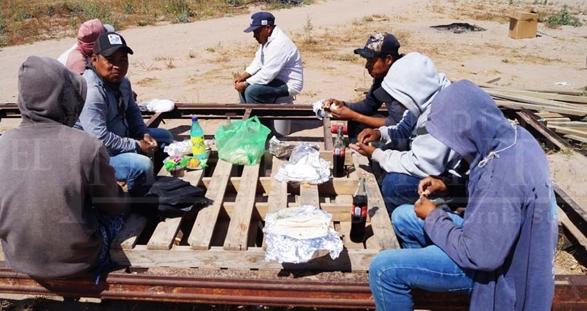 Trabajadores agrícolas de Comondú laboran y viven en condiciones inhumanas
