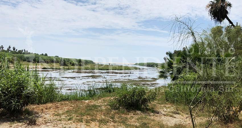 Los Cabos reprobado en temas ambientales, indica el OCI