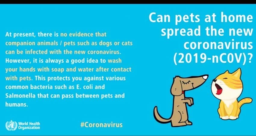 ¿Puede contagiarse mi mascota de coronavirus?