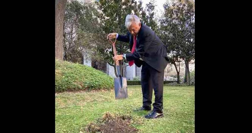 Javier May no se va”: AMLO