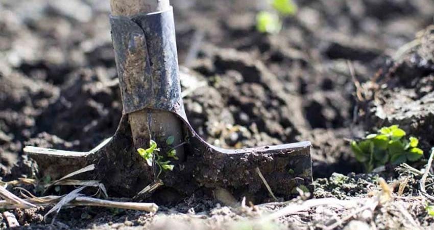 Detienen a hombre enterrando cadáver de niña desaparecida
