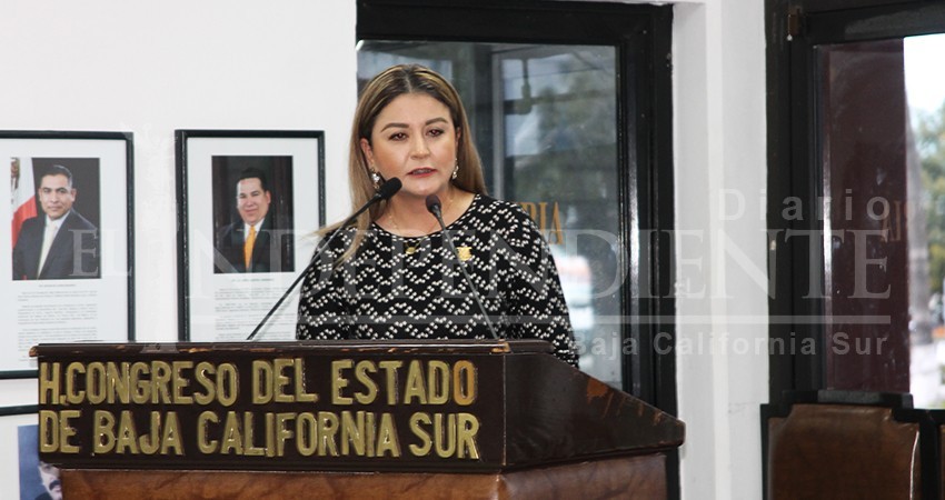 Morena aprovecha “ambigüedades” de la ley a conveniencia: Diputada Rubio Avilés