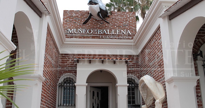 Museo de la Ballena podría tener como nueva sede Los Cabos