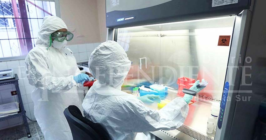 BCS continúa sin casos confirmados de COVID-19